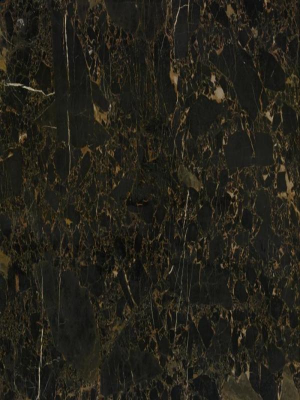 Portoro Gold Marble Close Up